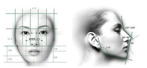 隆鼻美学标准